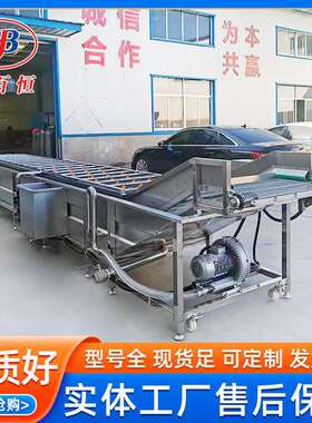 全自动果蔬洗菜机 商用海鲜包装袋物料清洗机器 多功能气泡清洗机