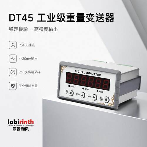丽景DT45称重显示器重量变送器控制仪表RS232/485面板安装