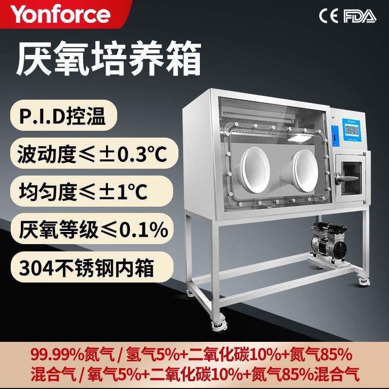 厌氧培养箱 厌氧菌微需氧菌培养 厌氧性球菌培养厌氧培养箱