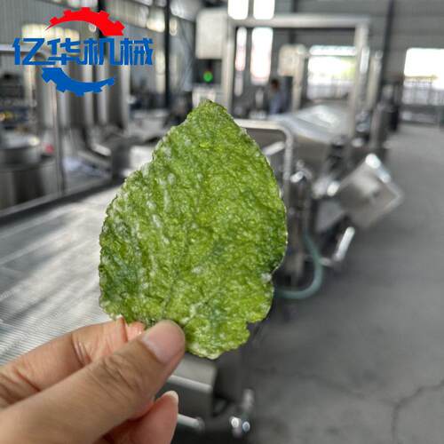 香酥翠叶油炸机 桑叶上浆油炸生产线 连续式桑叶油炸设备厂家