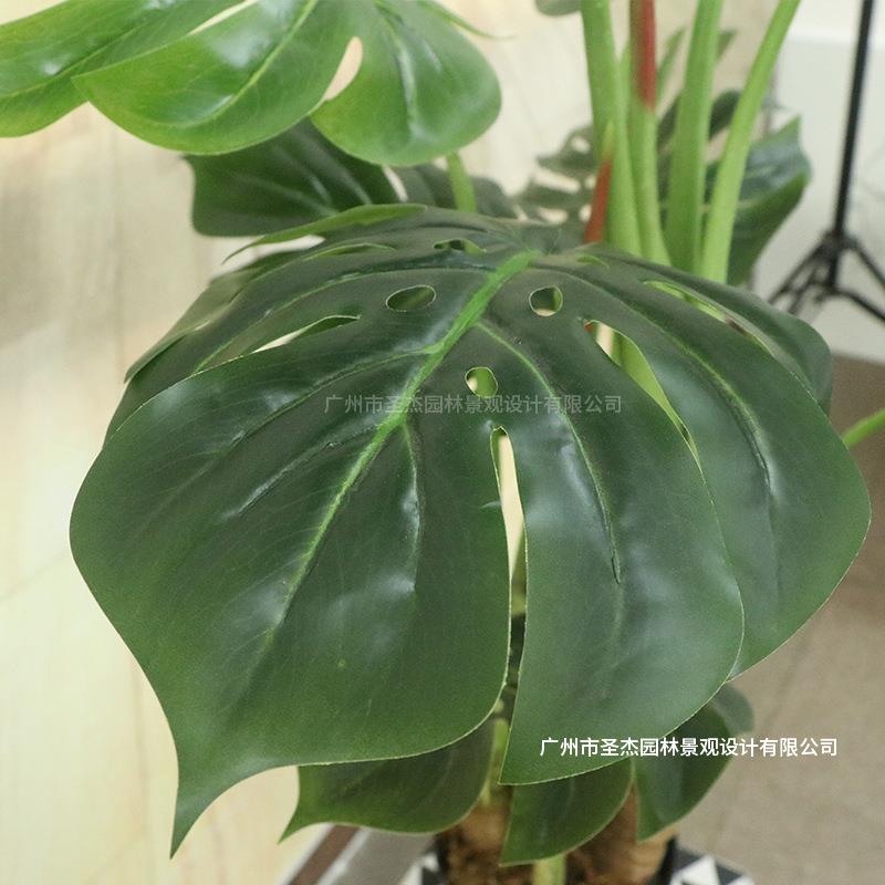 仿真四杆龟背竹酒店装饰用仿真植物北欧风格软装工程用仿真龟背竹