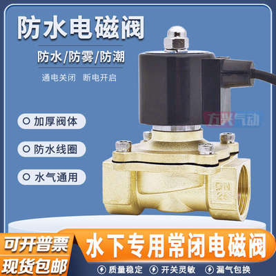防水电磁阀水下喷泉开关水阀室外专用气动阀4分6分1寸常闭220V24V