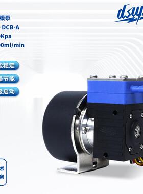 液体隔膜泵DS300 DCB-A微型液体隔膜泵12V/24V微型电动隔膜泵