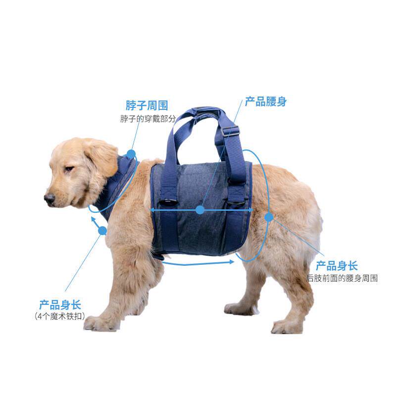 宠物狗狗牵引带 高龄犬走路手提辅助胸背带 狗狗辅助带