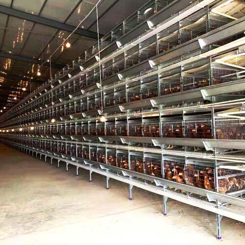 蛋鸡笼全自动捡蛋机一体化养鸡设备10万只机械蛋鸡养殖厂家畜牧