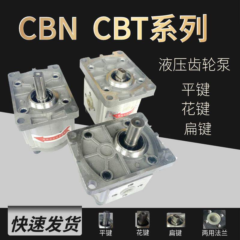 液压齿轮泵CBN-T310/314/325/316左旋右旋液压泵总成齿轮泵全系列