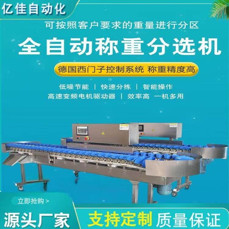 高精度智能分装食材重量分选机水果蔬菜海鲜精准分级挑选