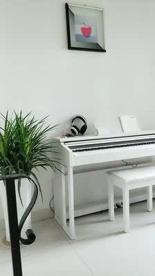 如何评价TheONE和卡西欧电钢琴比，应该选择谁呢？