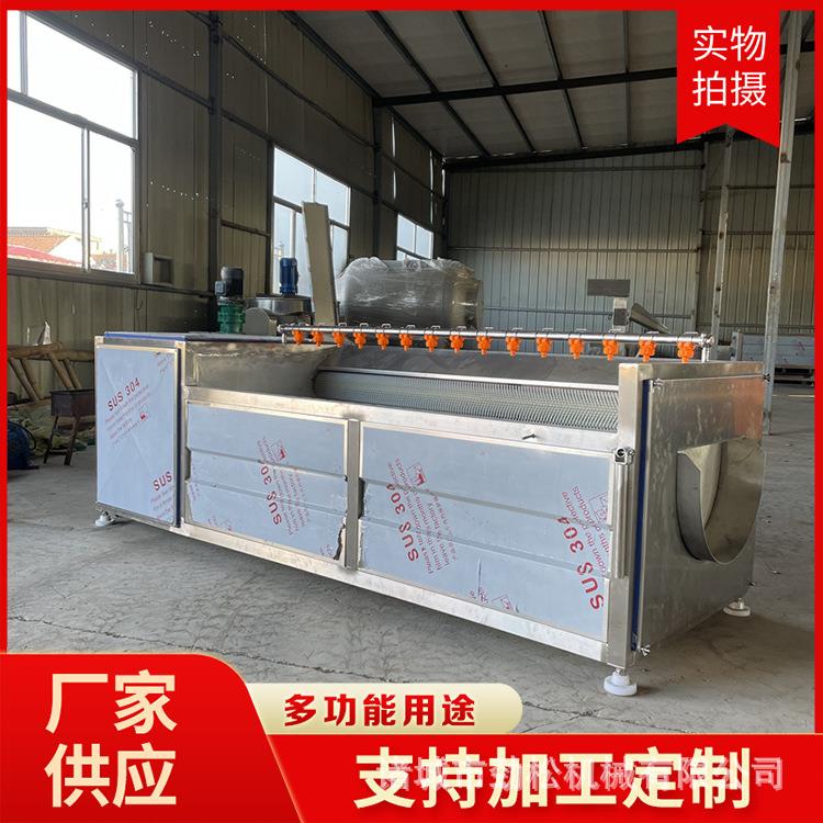 商用冰糖橙毛辊清洗机 水果毛发去杂洗果机 沙参知母中药材清洗机