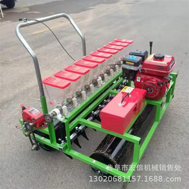 大棚内自走式白菜萝卜播种机 施肥播种一体机 小粒种子精博=播机