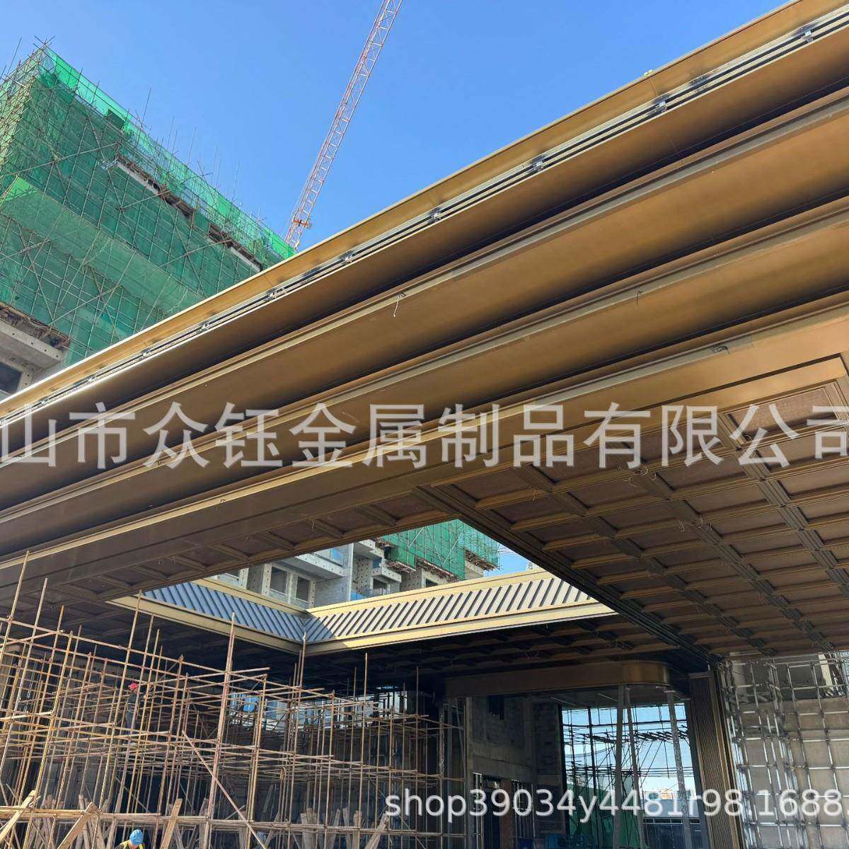 单元门头吊顶不锈钢扣板不锈钢装饰线板镂空造型星空天花吊顶