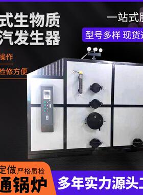 蒸汽发生器卧式燃煤生物质水泥制品养护高温蒸煮熨烫锅炉