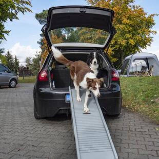 Dog Ramp 可折叠狗爬梯 车用宠物坡道 可折叠狗坡道 简易宠物楼梯