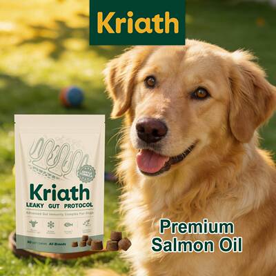 Kriath Dog Intestinal Care Complex: Nutritional Supplement f