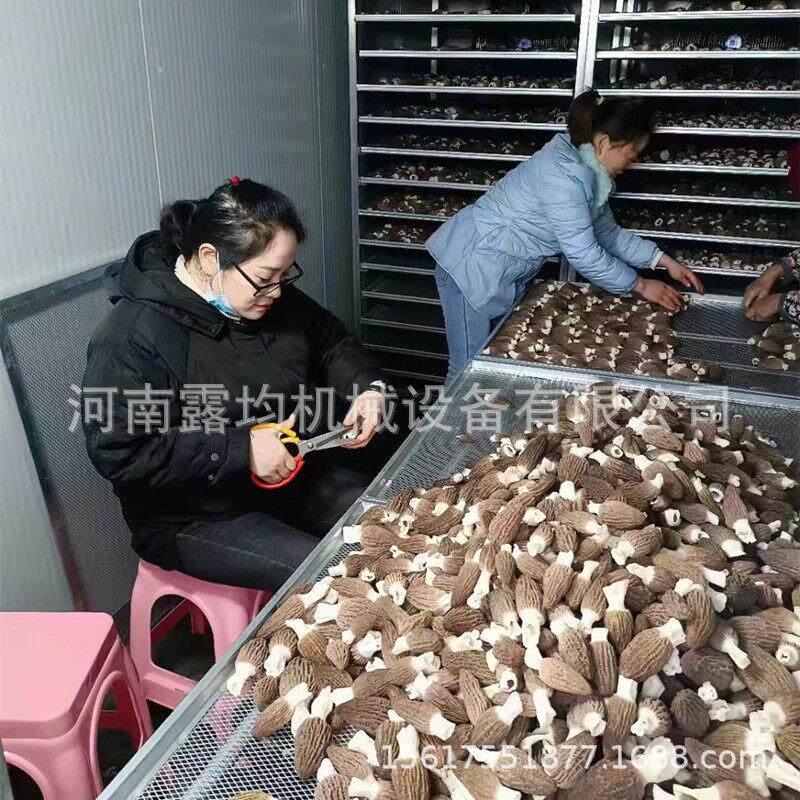 工业用羊肚菌烘干机 大型豆角黄花菜烘干机 蔬菜蘑菇辣椒烘干设备