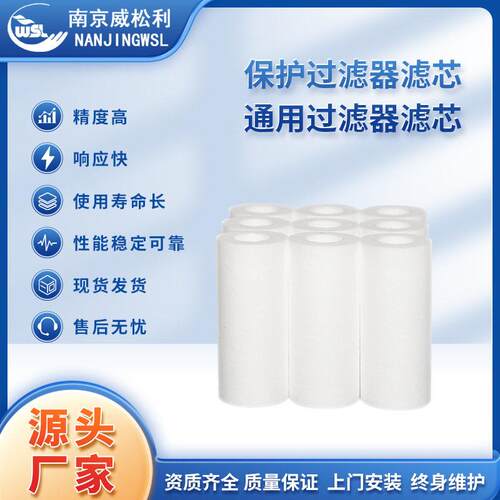 工厂直销保护过滤器滤芯CEMS滤芯分子检测仪可定制