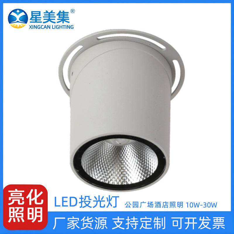 10W20W30W户外花园庭院景观灯LED一束洗墙灯强聚光射灯防水投光灯