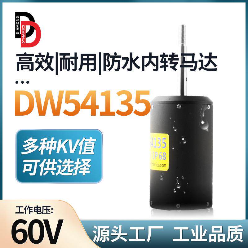 钻石动力DW5413548V内转冲浪板水翼水上滑板气垫船防水电机