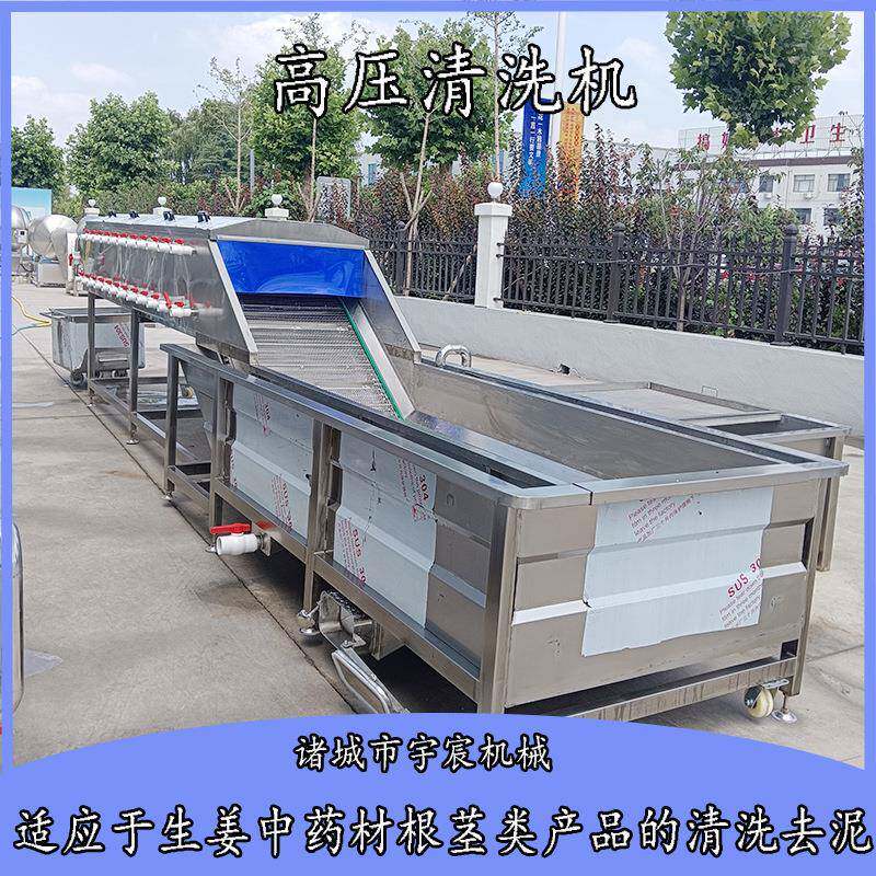 大姜清洗机商用大型山参红参中药材当归天麻白芷田七巴戟天清洗机
