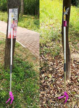 伸缩高枝剪伸高剪空剪高枝枝摘果采缩果剪修枝剪RPR果树高锯高枝