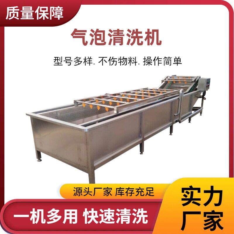 小白菜菠菜气泡清洗机农作物海产品清洗设备芒果火龙果清洗机商用