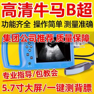 牛用b超机养殖场兽用牛马B超彩超高清测孕仪动物伪彩检孕猪羊宠物