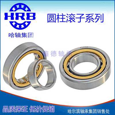 哈尔滨HRB圆柱滚子轴承RN 205 206 307 309 312 313 219 222 228M