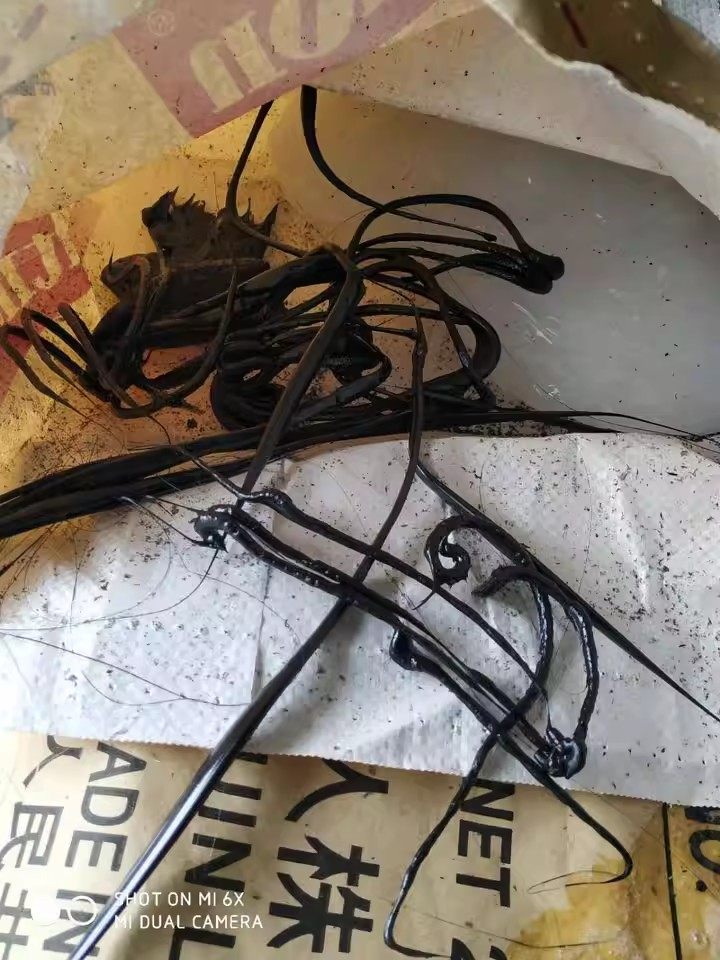 1月27日中山乙烯-丙烯共聚物等10项边角料一批（R57262600056）网络拍卖公告