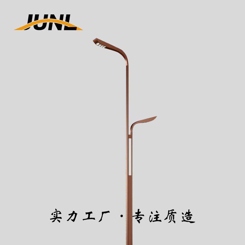 5米6米8米10米LED新农村路灯LED市电路灯双臂市政路灯道路照明灯