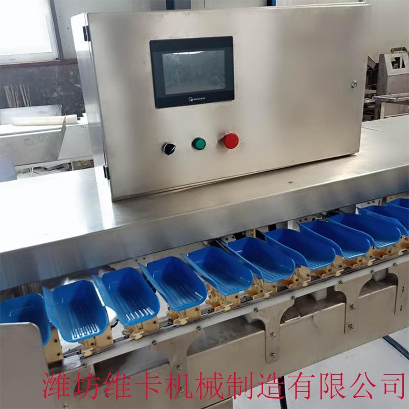 自生蚝重全动量分选机料盒式重量分选设备威海生蚝分选机