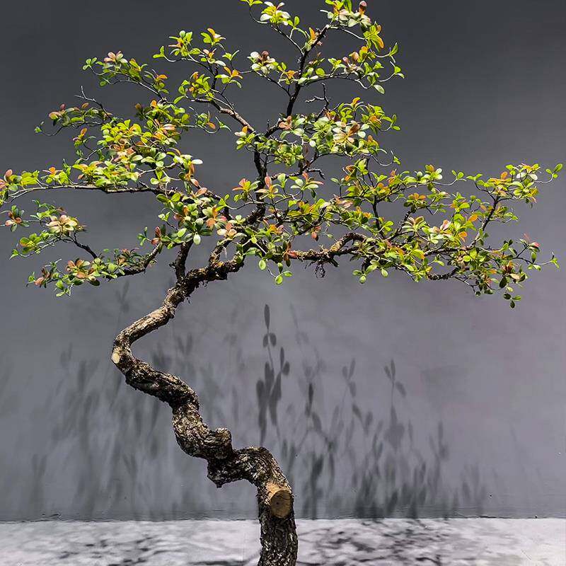 海岛春花精品仿真绿植室内装饰造景落地摆件简约植物中式茶室景观