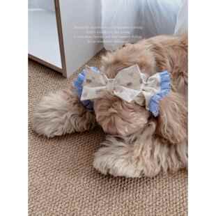 「蝴蝶耳花」Lovepasses可卡查理史宾格美卡耳花宠物头花可爱头饰