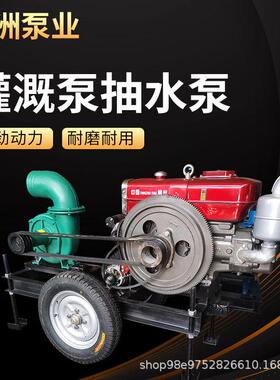 柴油机抽水农SEM田灌建筑消防水泵4寸6寸动灌溉抽水泵机溉混移流