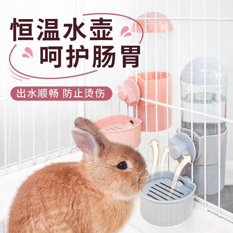 兔子专用粮自动喂食器侏儒兔兔固定恒温加热喝饮水器水壶盆盒用品