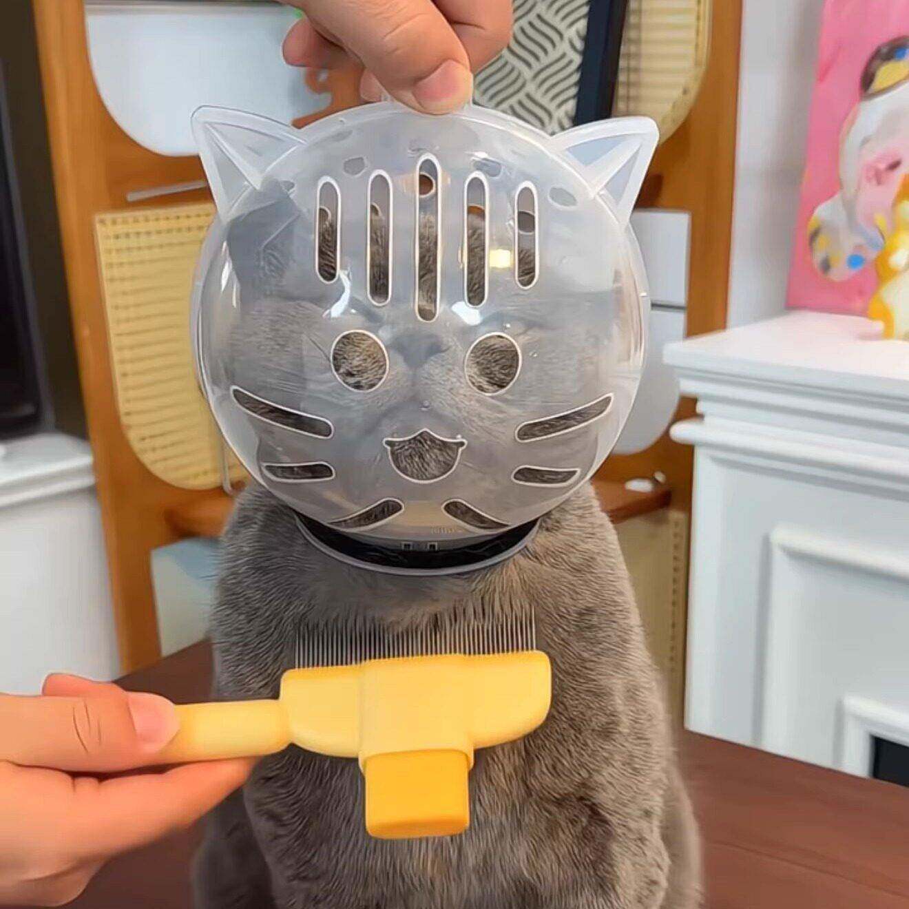 猫咪防误食头套撸猫毛洗澡剪指甲防抓伤小型狗狗透明太空头罩防咬
