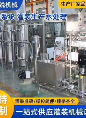 灌装线预处理RO纯水设备纯水生产设备中小型反渗透水处理设备装