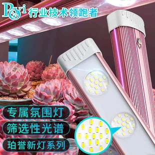家用植物生长灯 珀誉多肉植物生长灯全光谱仿太阳LED玫瑰彩虹系列