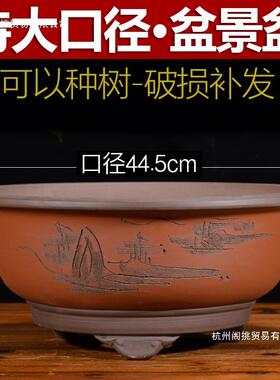 紫砂特大口径圆形碗盆树桩金弹子盆栽花盆客厅室内阳台种树种