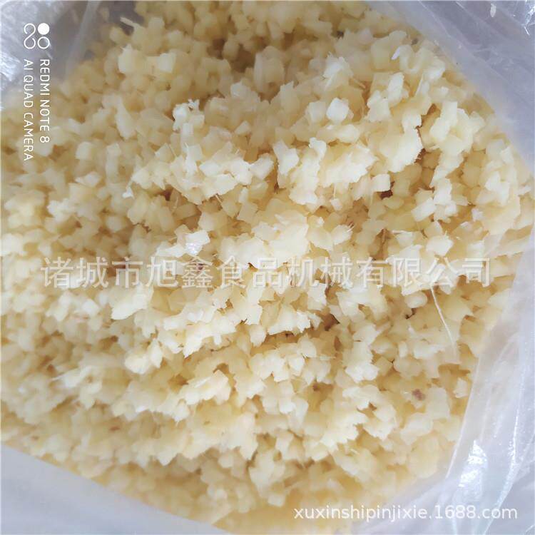 商用不锈钢土豆生姜青辣椒打碎设备果蔬破碎机番茄大蒜打泥机