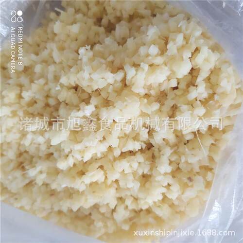 商用不锈钢土豆生姜青辣椒打碎设备果蔬破碎机番茄大蒜打泥机