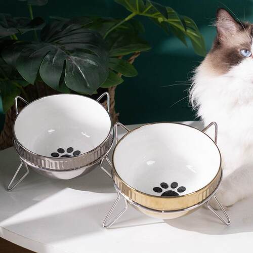 电镀陶瓷猫碗狗碗猫咪食盆保护颈椎防打翻斜口小型犬饭碗宠物猫盆