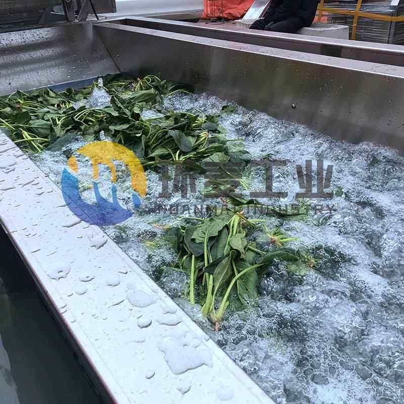 水机果DNB蔬菜漂烫 漂全动酸豆角烫机 竹笋自凤爪预煮漂烫流水线