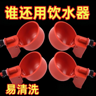 懒人喂养殖水器食器全自动饮水 自动神器养鸡家用饮自动鸡鸭新款
