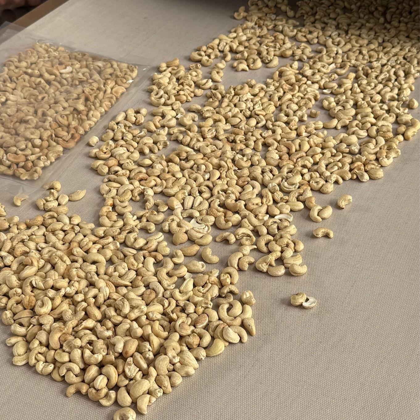 进口杂粮种子的灭活科尔微波灭活设备油菜籽灭活机