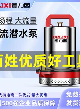 德力西直流潜水泵12V24V48V60V家用电瓶车抽水泵电动农用灌溉抽水