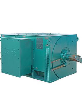 泰Y系列低压三相异步级电机tY4002LXR-6t3535KWt鸿80Vt防护等IP23