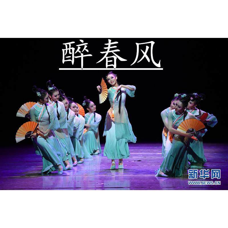 新款古典舞身韵服醉春风舞蹈服演出服古风子舞表演中国风女子舞群