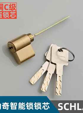 适用于SCHLAGE西勒奇智能锁电子锁密码锁锁芯全铜C级厂家直销