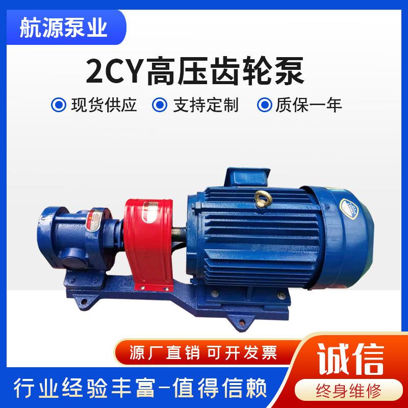 不锈钢齿轮油泵2CY-7.5不锈钢齿轮泵304/316食品高粘度油泵