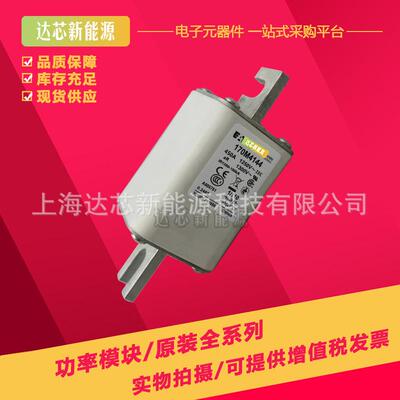 170M4108 170M4109 170M4110 170M4111 170M4112 170M4113熔断器